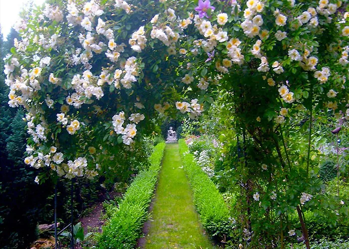 Simon * Eckernförde